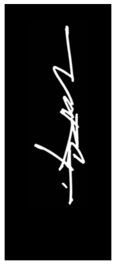 Tuttio stark varg side decals 2pcs